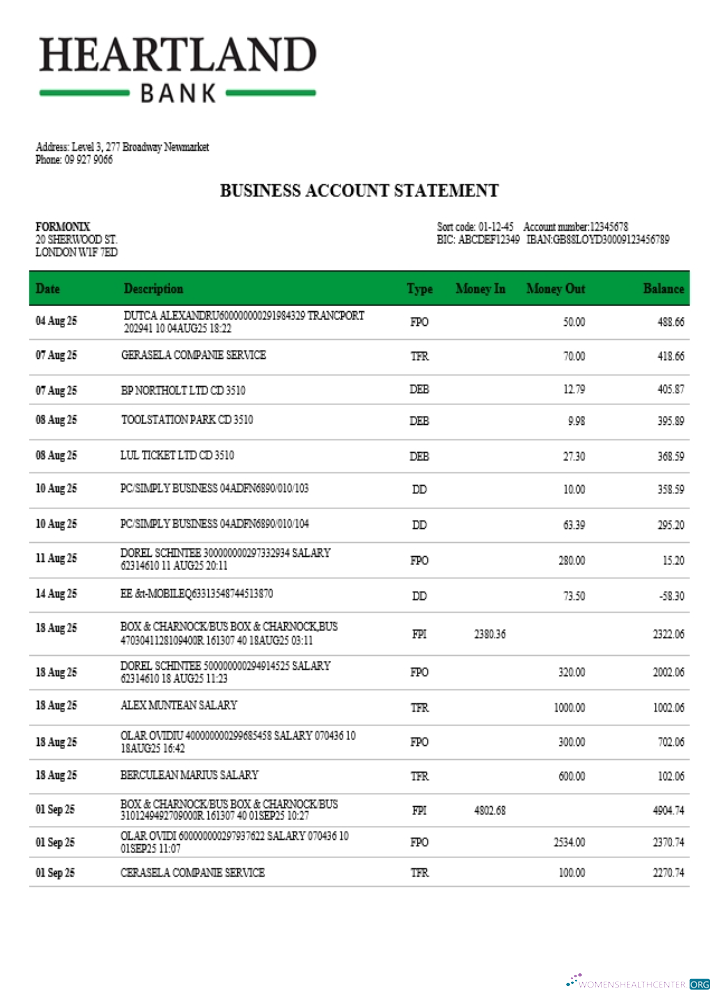 Download Heartland firm account bank statement Word and PDF format (1) Photoshop template
